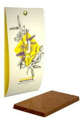 Milk 49% Chocolate with Almonds and Salt 50g